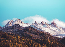 法国冬奥代表团人数创纪录