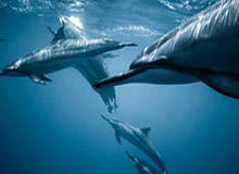 乐鱼体育在线登陆——畅享极致体育娱乐体验